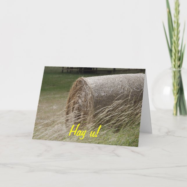 Hay bales, Hay u! Card (Front)