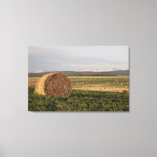 Hay Bales In A Field With Mountains At Sunrise Canvas Print (Front)