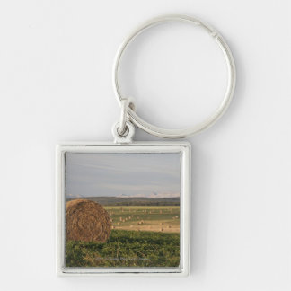Hay Bales In A Field With Mountains At Sunrise Keychain