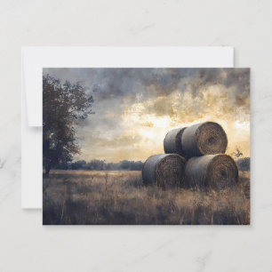 Hay Bales in the Field Vintage Postcard