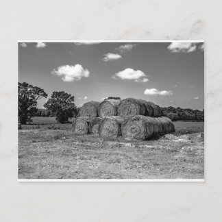 Hay bales in the Norfolk countryside Postcard