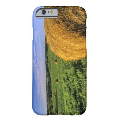 Hay Bales Near Bottineau North Dakota Postcard Zazzle Com