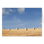 Hay Bales on Field (Front Horizontal)