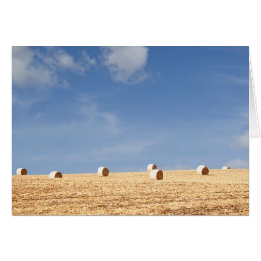 Hay Bales on Field Cards (Front Horizontal)