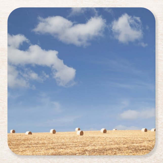 Hay Bales on Field Square Paper Coaster (Front)