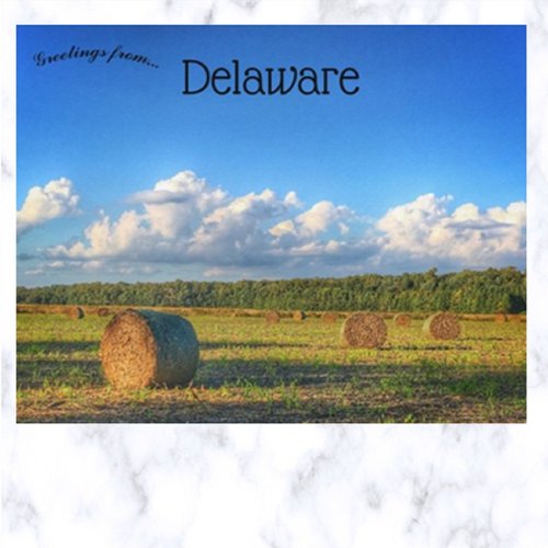 Hay Bales Outside Georgetown Delaware Postcard