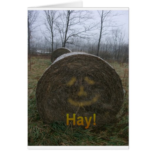 Hay! Cards (Front)