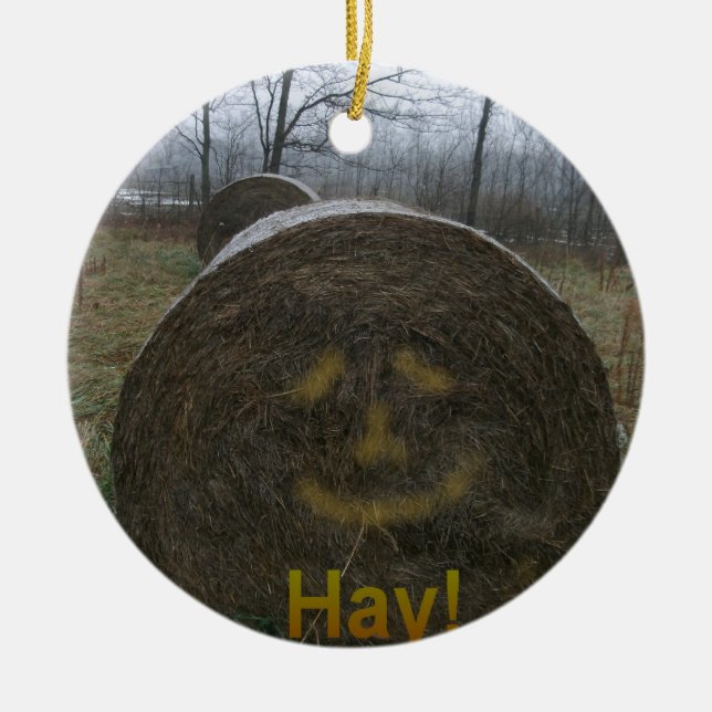 Hay! Ceramic Ornament (Front)