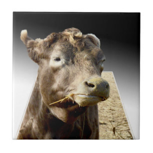 Hay Day: A Brown Cow’s Munching Moment in Pop-Out Ceramic Tile