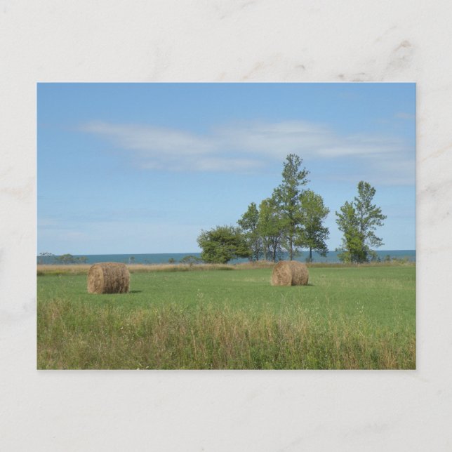 Hay Field postcard (Front)