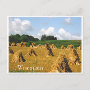 Hay Field Postcard