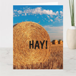 HAY FUNNY PUN HELLO Greeting Cards
