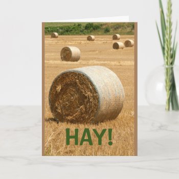 Hay! Get Well Soon Card by MortOriginals at Zazzle