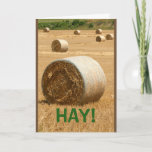 Hay! Happy Anniversary Card at Zazzle