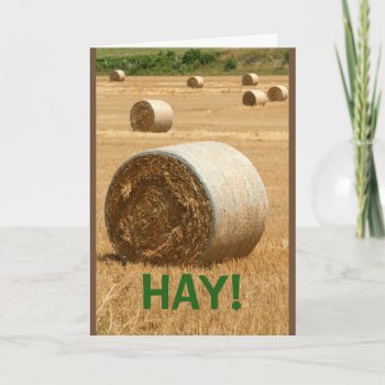 Hay! Happy Anniversary Card by MortOriginals at Zazzle