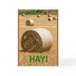 HAY! Happy Father's Day Card HAY! Happy Father's Day Card