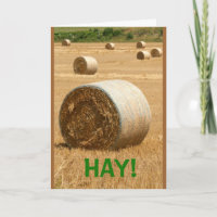 HAY!  Happy Father's Day