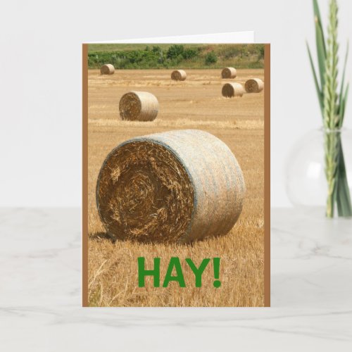 HAY  Happy Fathers Day Card