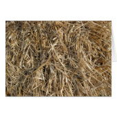 Hay! Hay! 2 (Front Horizontal)