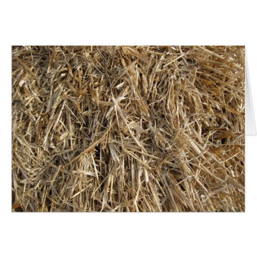 Hay! Hay! 2 Cards (Front Horizontal)