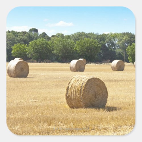 Hay in the Field France Square Sticker