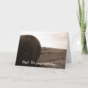 Hay! It's your birthday... Card