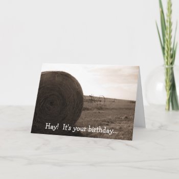 Hay!  It's Your Birthday... Card by designerdave at Zazzle