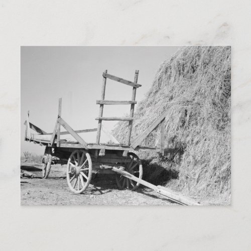 Hay stack and wagon  1939 postcard