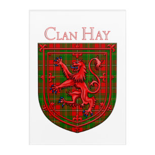 Hay Tartan Scottish Plaid Lion Rampant Acrylic Print