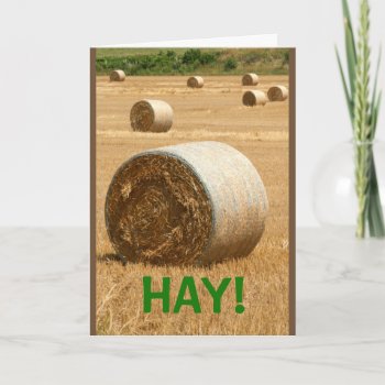 Hay! Thanks A Lot Card by MortOriginals at Zazzle