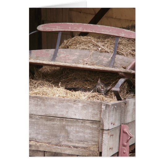 Hay Wagon Cards (Front)