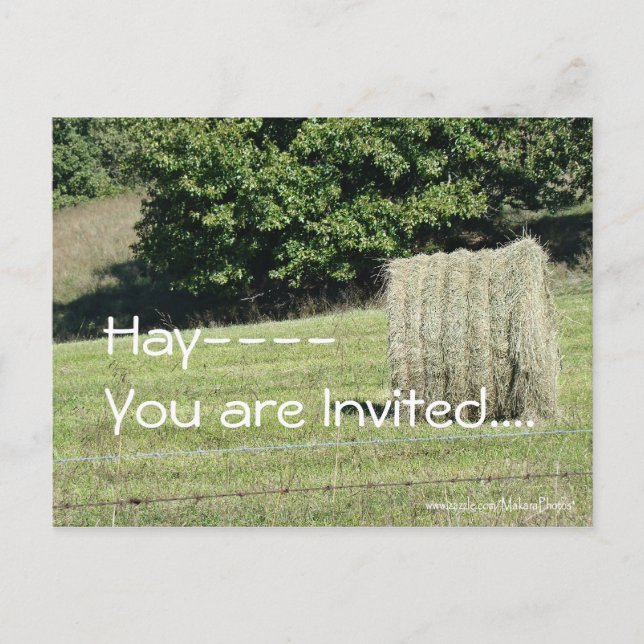Hay-You are Invited....customize Invitation Postcard (Front)