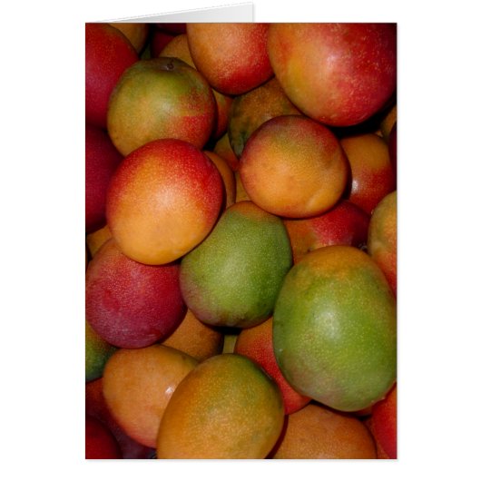 Hayden Mangoes (Front)