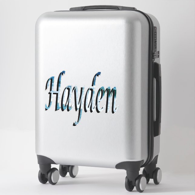 Hayden Name Logo Sticker (Suitcase)