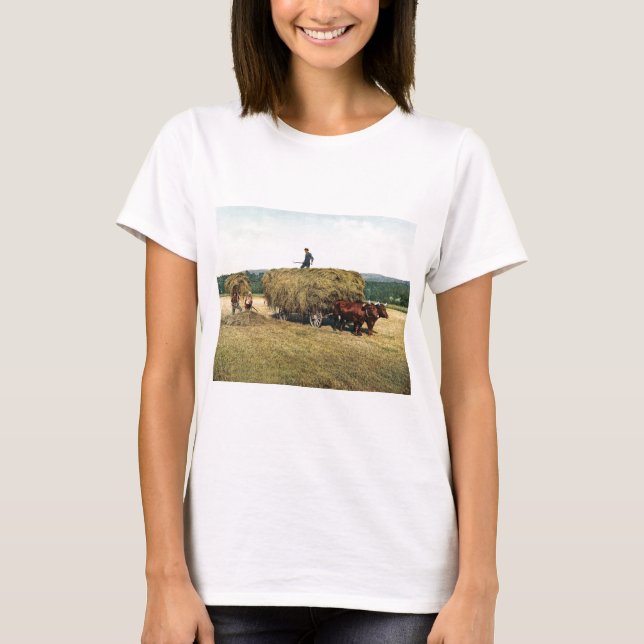 Haying in New England Vintage 1900 T-Shirt (Front)