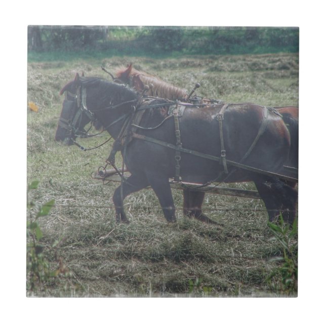 Haying in the Summertime Tile (Front)