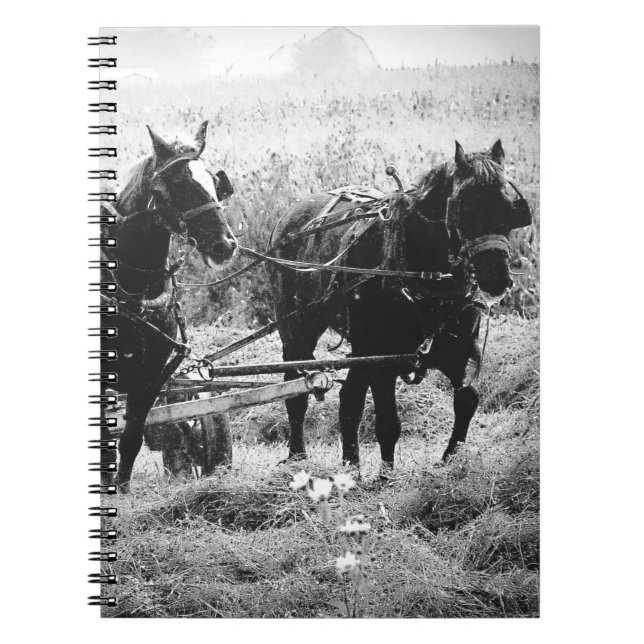 Haying Time in Black and White Notebook (Front)