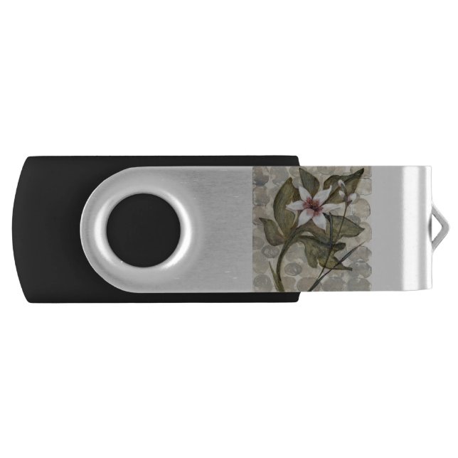 HAZ26 Amazonia 4.tif Flash Drive (Front)
