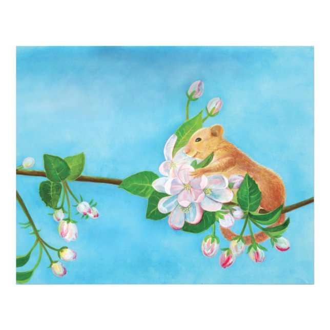 Hazel Dormouse on a blooming branch  Photo Print (Front)