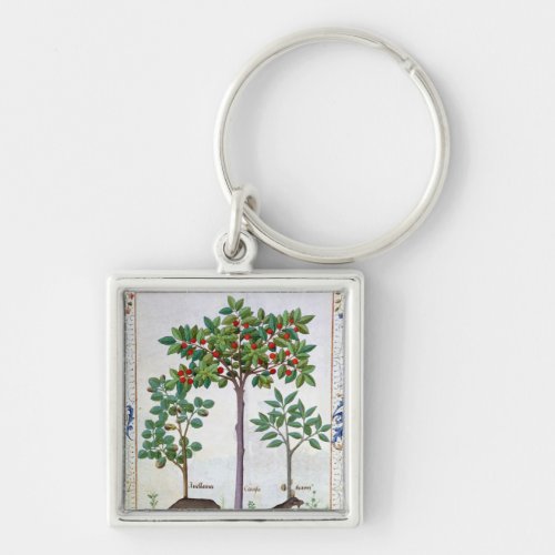 Hazelnut Bush  and Cherry tree Keychain