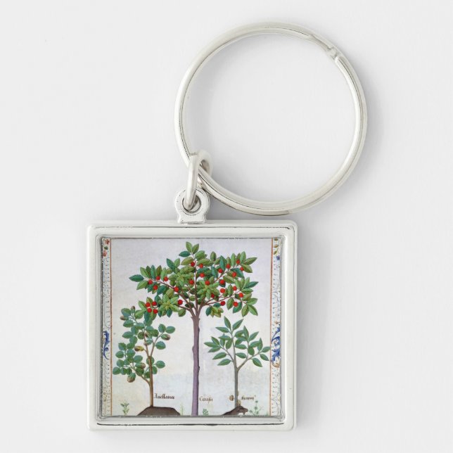 Hazelnut Bush  and Cherry tree Keychain (Front)