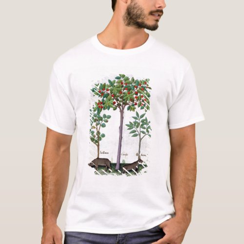 Hazelnut Bush  and Cherry tree T_Shirt