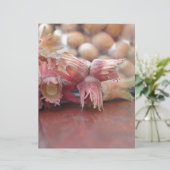 Hazelnuts.JPG (Standing Front)