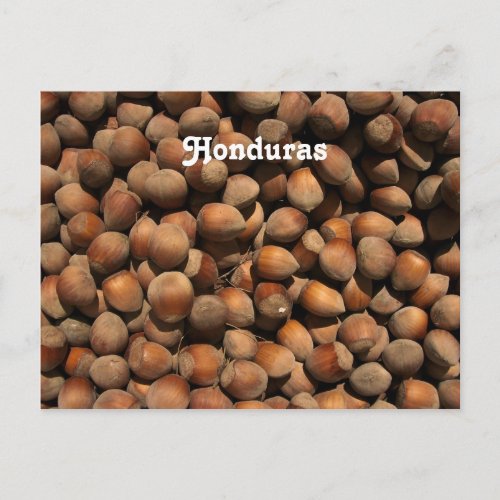 Hazelnuts Postcard
