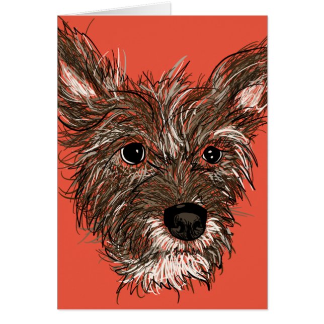 haziepups cards (Front)
