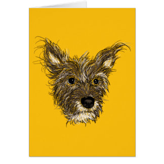 haziepups cards