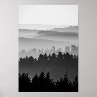 Hazy Forest Hills Black and White Landscape Photo