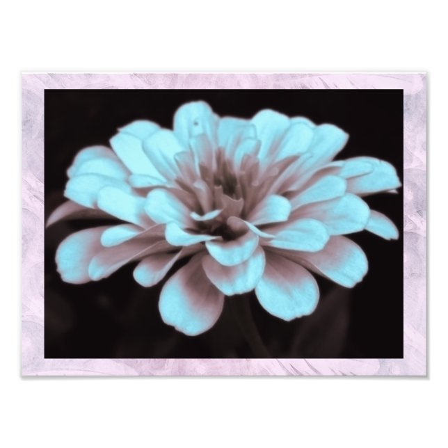 Hazy Zinnia in Subtle Blue Photo Print (Front)