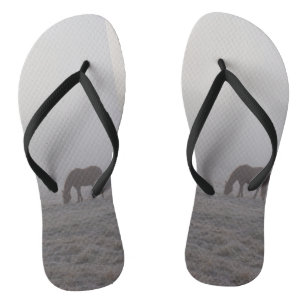 Hazzy Grazing Flip Flops