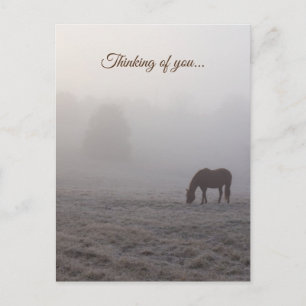 Hazzy Grazing Thinking Of You Postcard